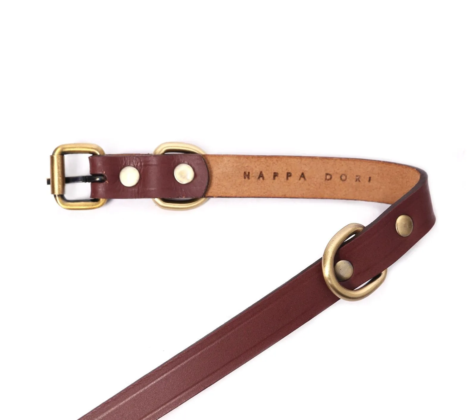 SMALL DOG COLLAR CLASSIC