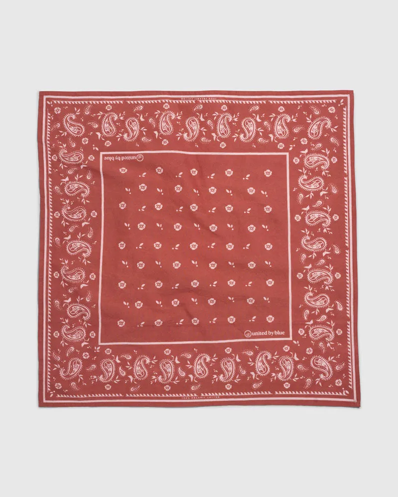 TerraDye Paisley Bandana - Charcoal. Currant