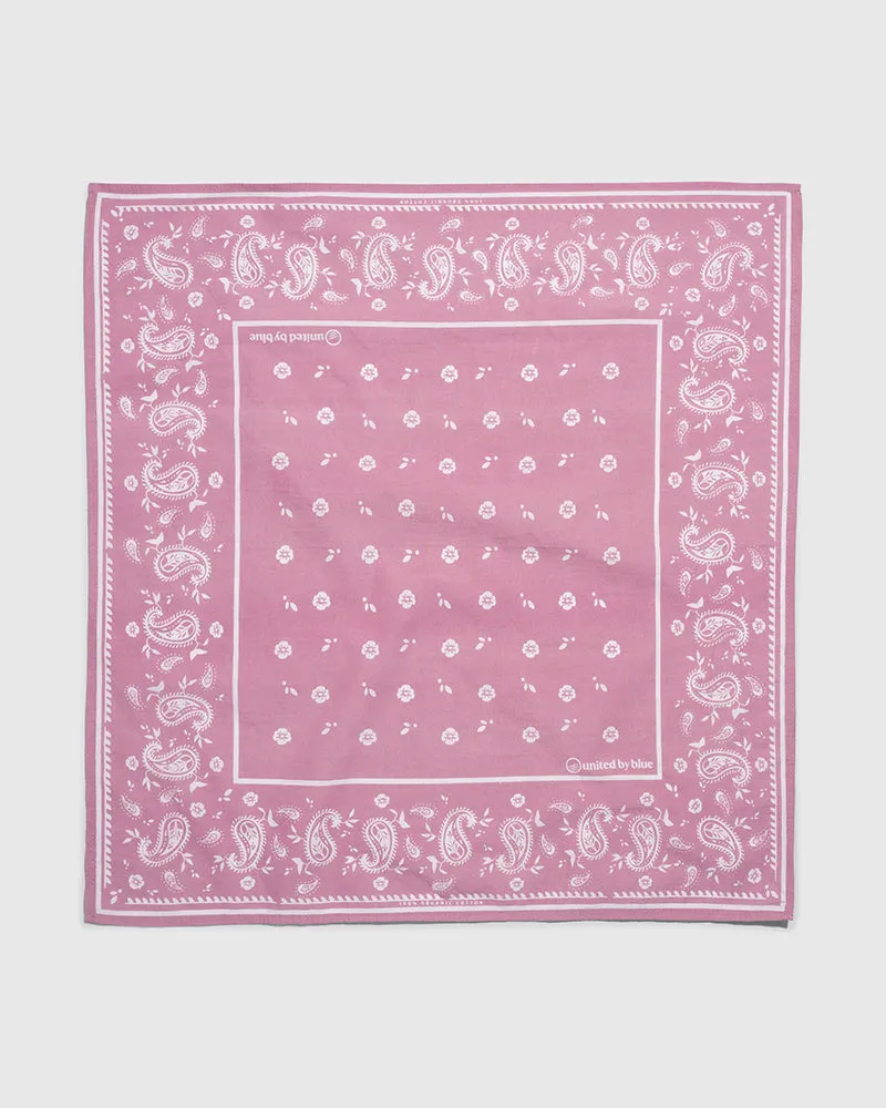 TerraDye Paisley Bandana - Charcoal. Currant